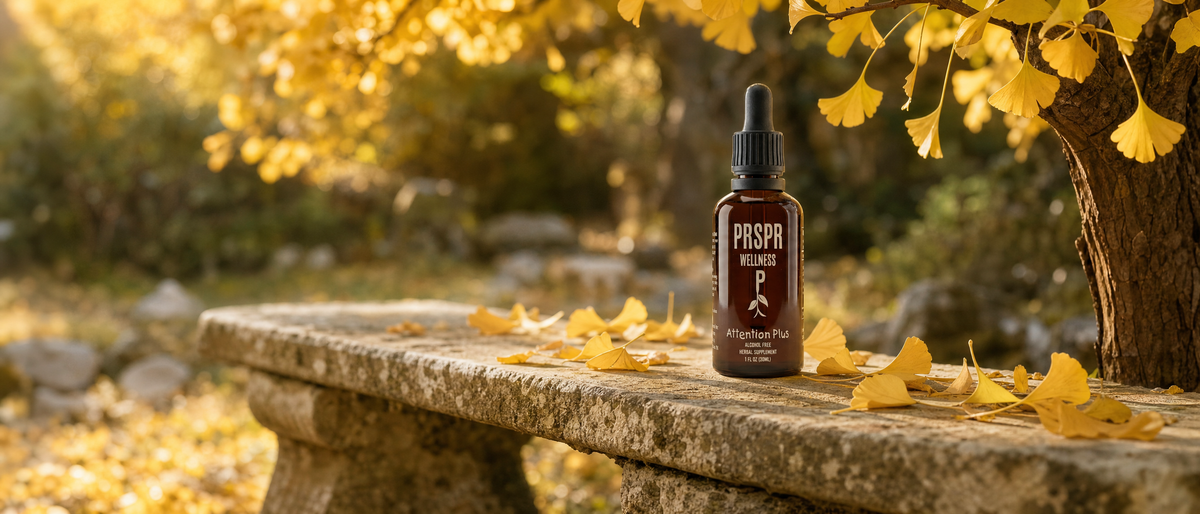 Attention Plus bottle on a stone garden bench under a ginkgo tree, with golden fan-shaped ginkgo leaves scattered around it