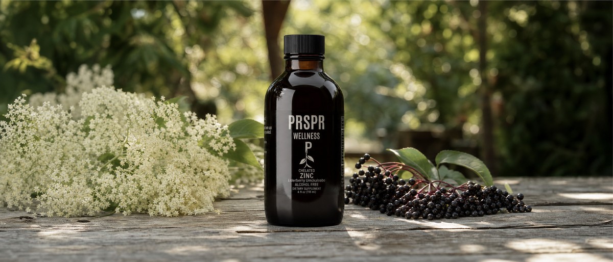 Elderberry w/ Zinc bottle on a garden table between a cream elderflower cluster and a bunch of dark elderberries