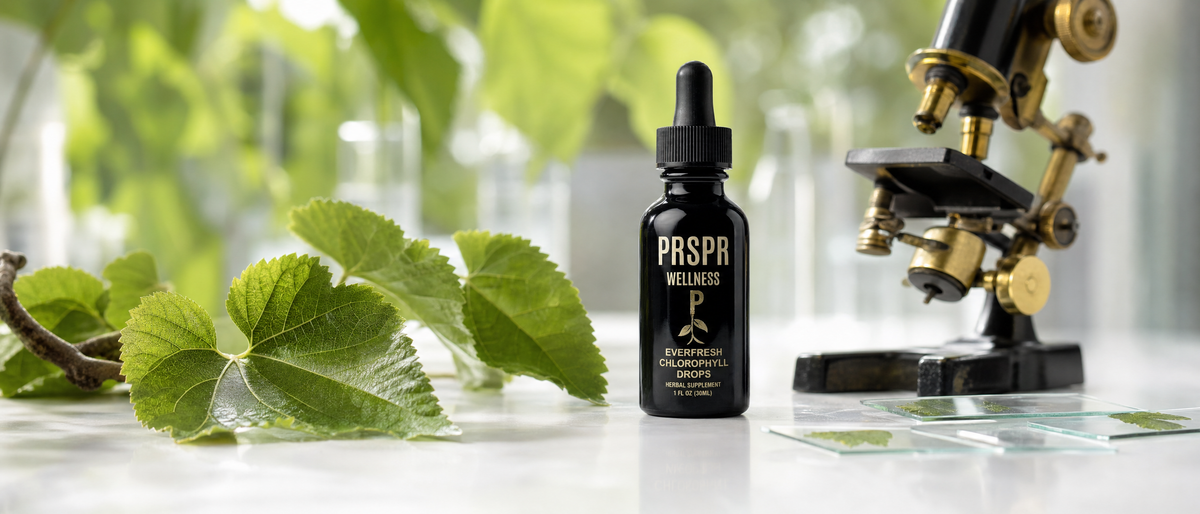 PRSPR Everfresh Chlorophyll Drops bottle on a lab bench beside green mulberry leaves, a brass microscope and leaf slides