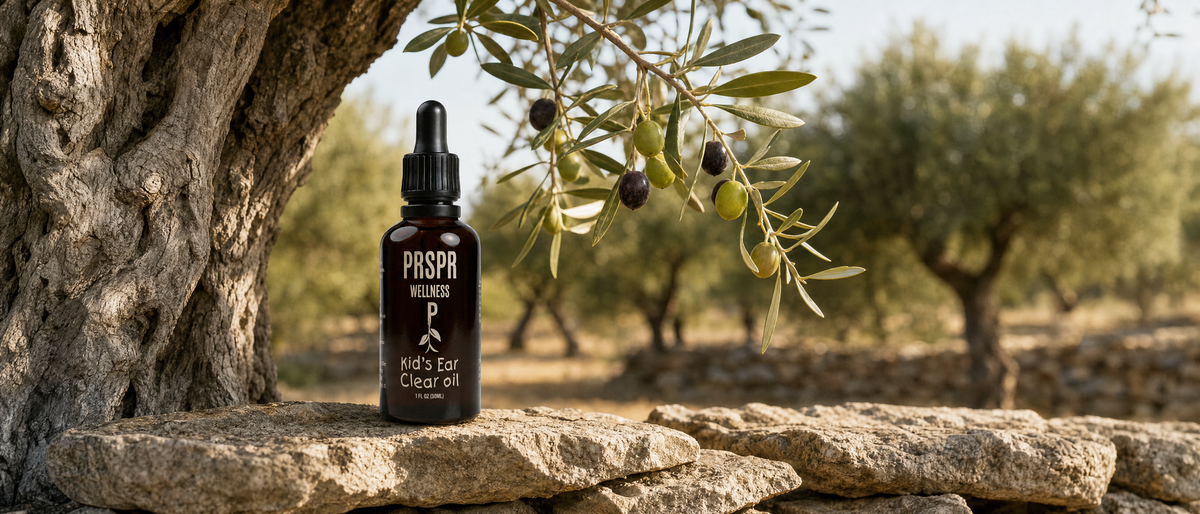 Kid's Ear Clear Oil dropper bottle on a dry stone wall in an olive grove, beside a gnarled olive tree trunk and a branch of green and dark olives
