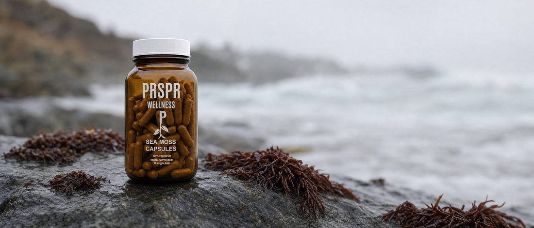 PRSPR Wellness Sea Moss Capsules bottle on wet coastal stone beside strands of dried seaweed