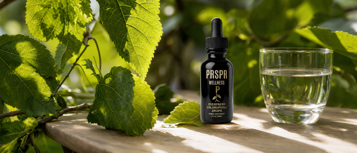 Everfresh Chlorophyll drops bottle resting among fresh green mulberry leaves lit by sunlight