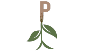 PRSPR WELLNESS