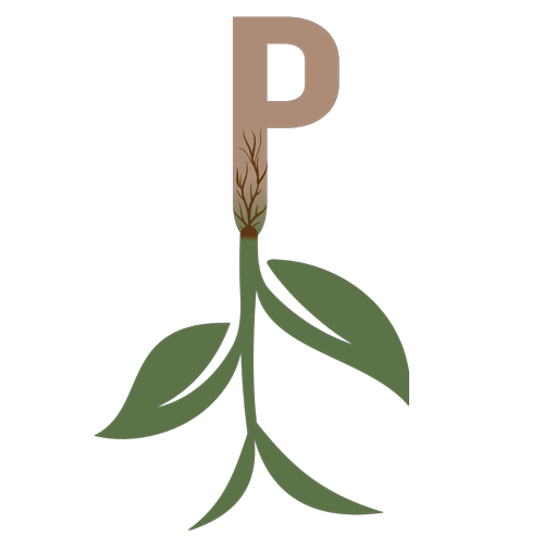 PRSPR WELLNESS