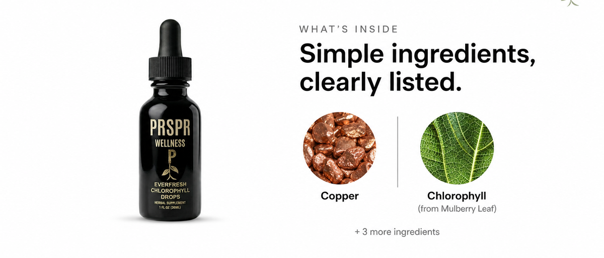 What's Inside — Everfresh Chlorophyll drops