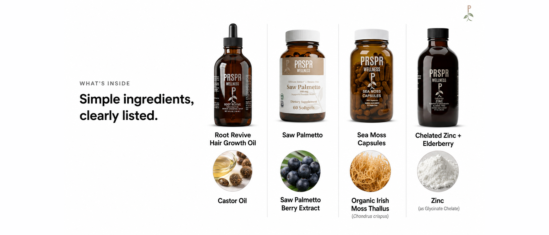 What's Inside — Hair Renewal Protocol - Hair Growth Essentials